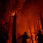 Desalojan la zona oeste de Canadá por incendios forestales