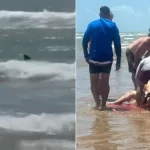 Ataca tiburón a dos personas en Isla del Padre en Texas