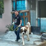 Rescatan a “Rex”, un perro víctima de maltrato y abandono en Escobedo