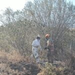 Incendio en pastizal en Salinas, Nuevo León