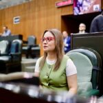 Propone Armida Serrato nueva Ley de Imagen Institucional para evitar uso partidista de colores en programas públicos