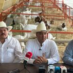 Nuevo León refuerza prevención ante plaga que amenaza al ganado