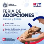 Cambian sede de la Feria de Adopciones de Monterrey por altas temperaturas