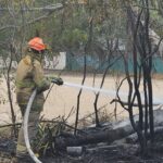 Incendio en terreno baldío de Santa Catarina es controlado