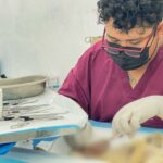 Jornadas de esterilización buscan promover cuidado responsable de mascotas