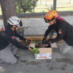 Tlacuache herido es rescatado en Del Prado por Protección Civil