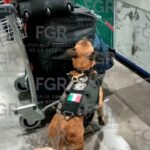 Caen con casi 95 litros de cocaína líquida en el Aeropuerto de Monterrey; va al Penal de Apodaca