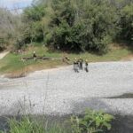 Buscan por tierra y aire a persona llevada por el agua en el Río Pesquería